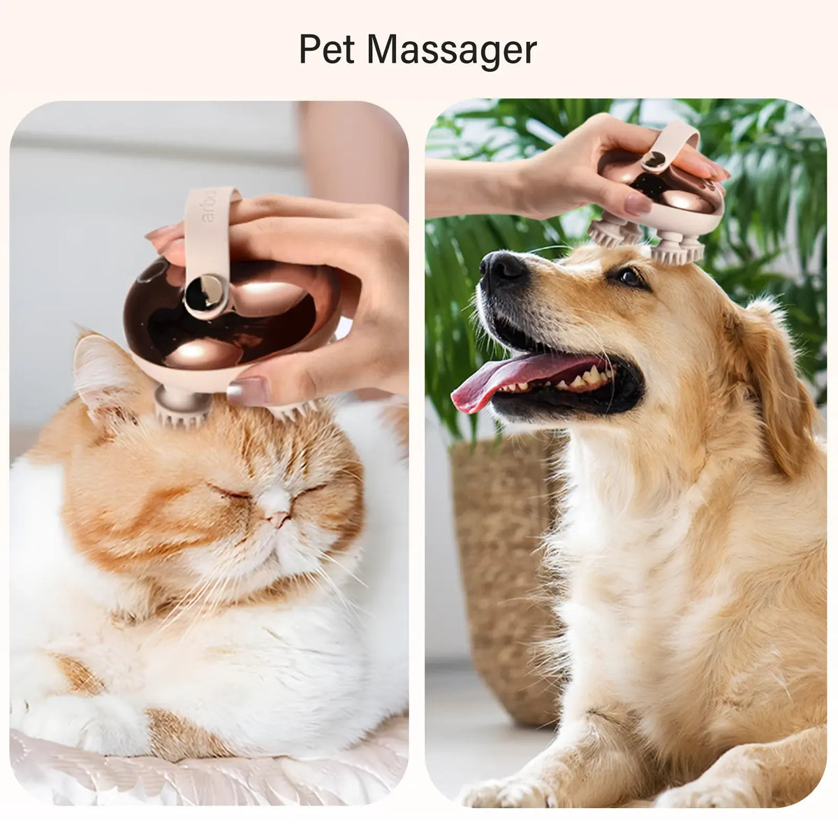 Electric Scalp Massager